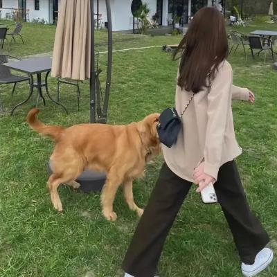 万万没想到第二季